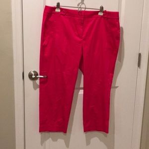 LOFT cropped pants